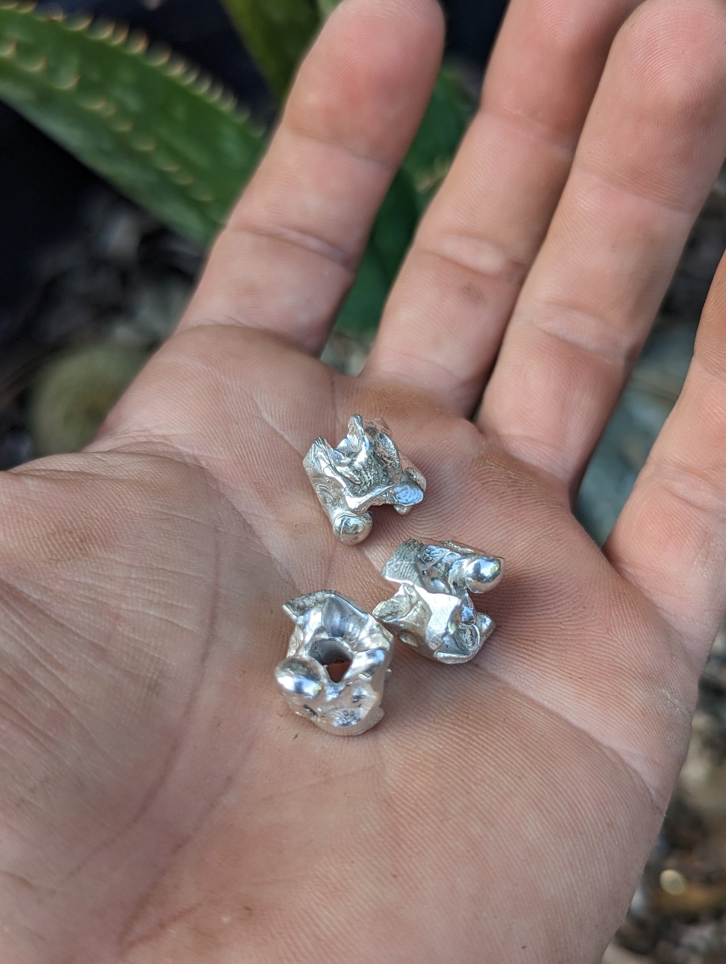 Cobra Vertebrae