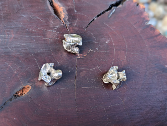 Cobra Vertebrae