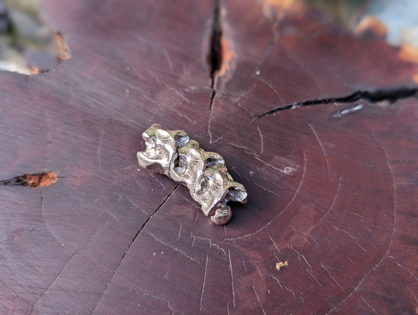 Cobra Vertebrae