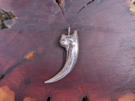 Velociraptor Killing claw