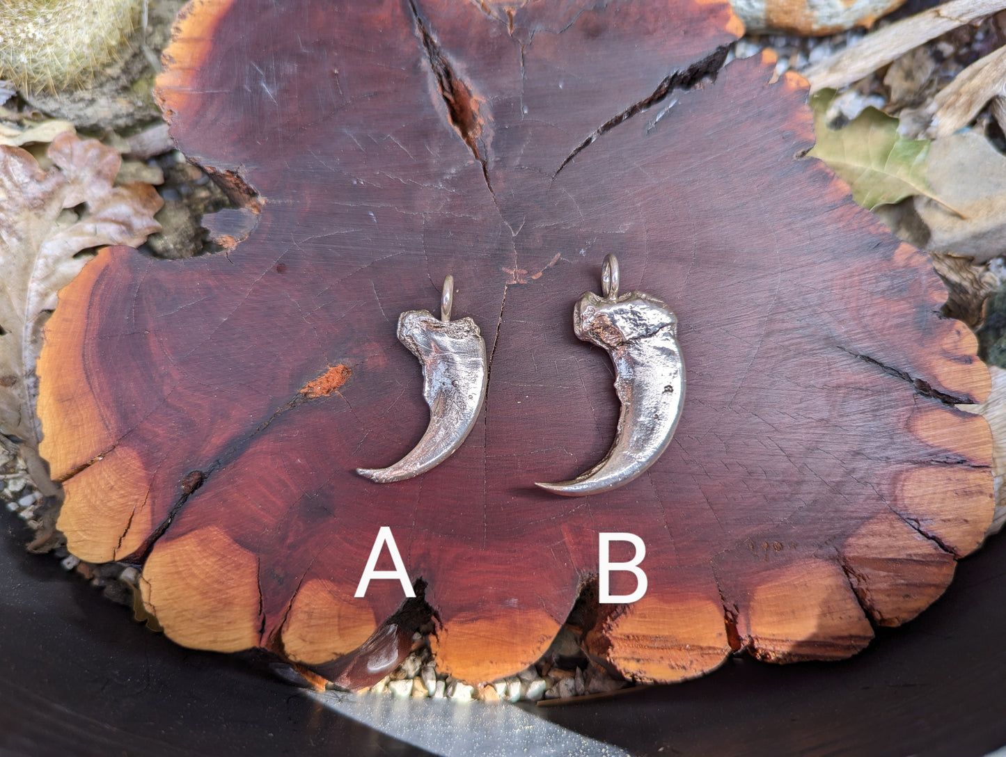 Bear Claws