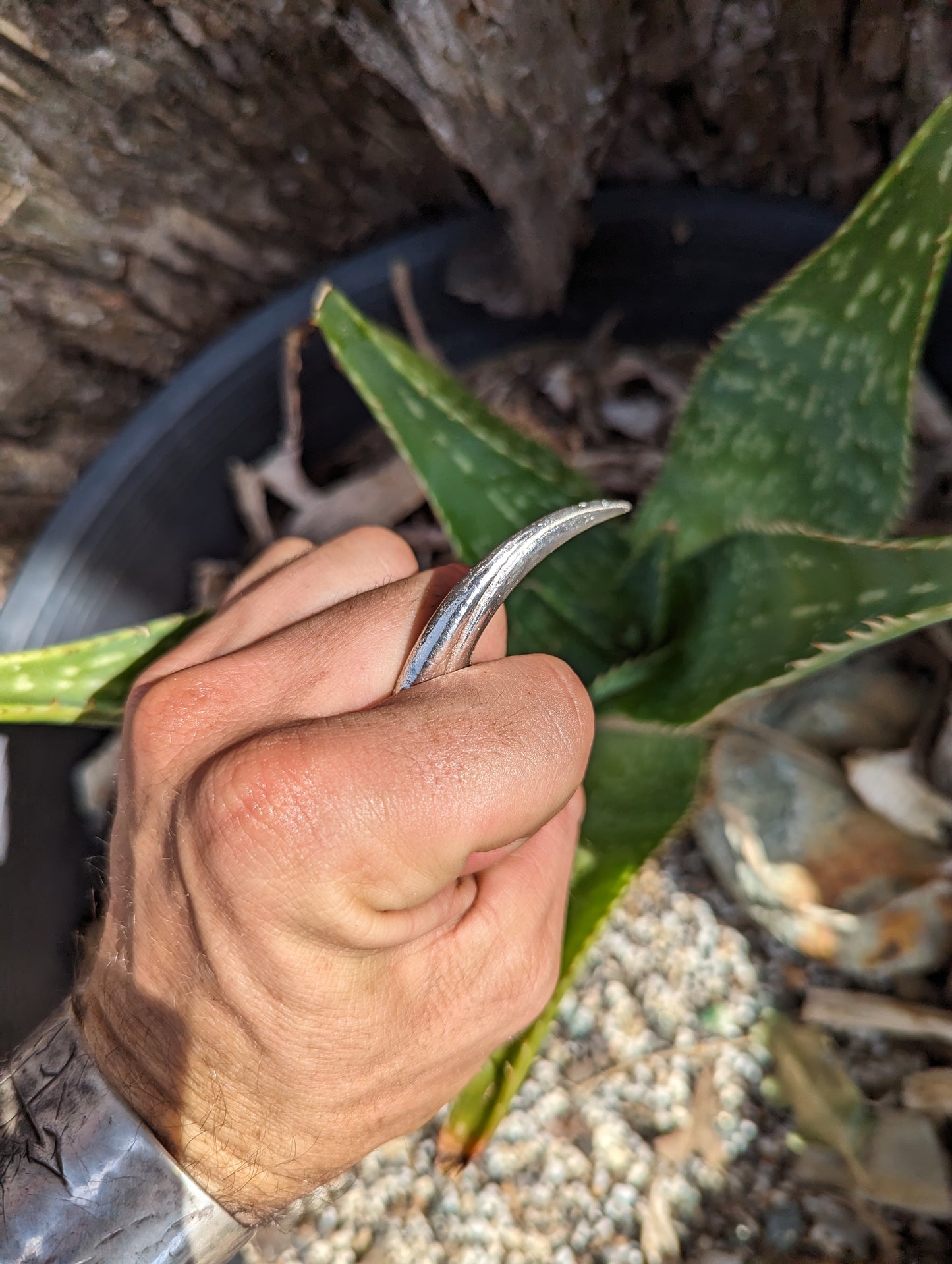 Velociraptor Killing claw