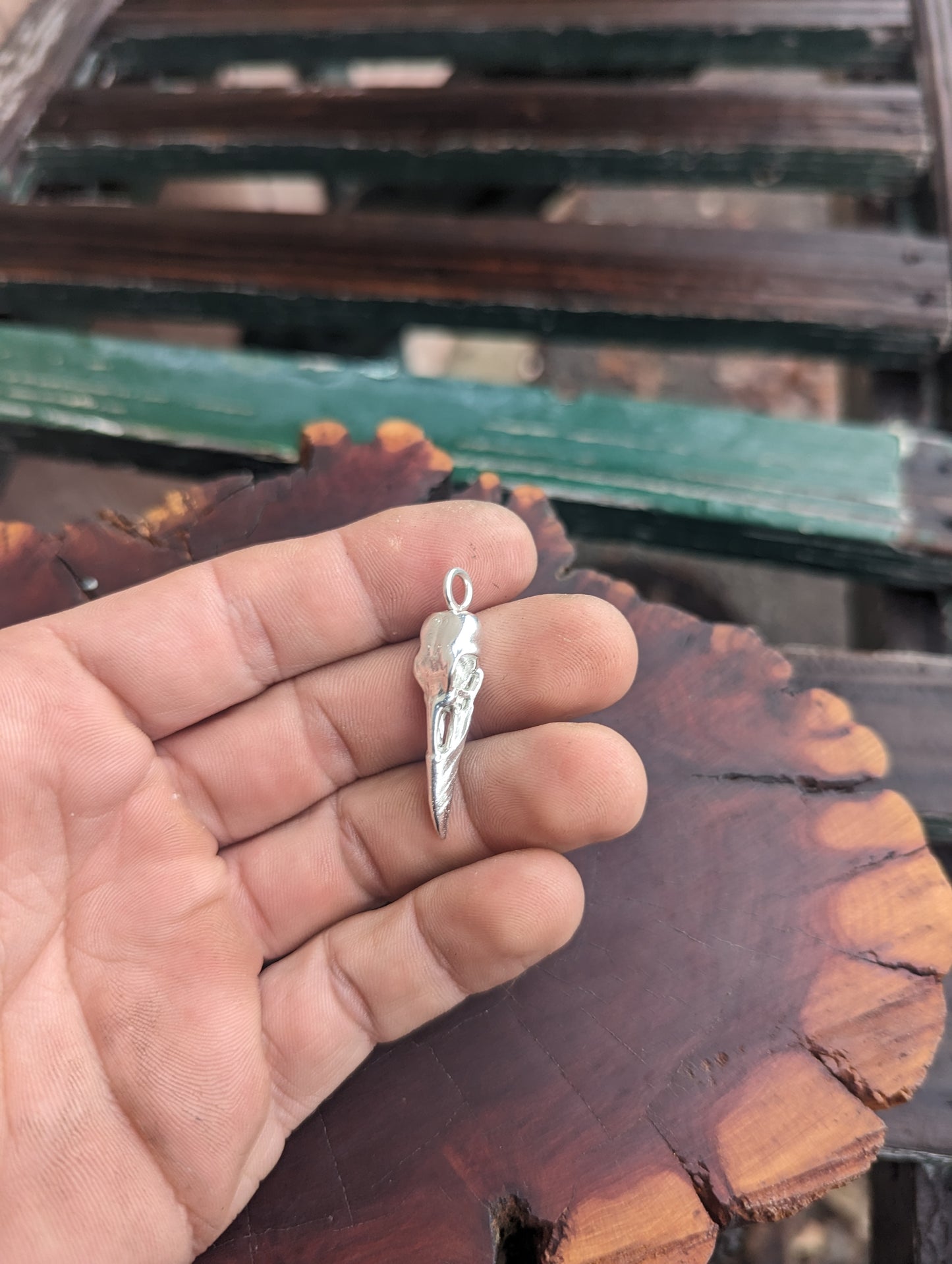 Raven Skull Casting